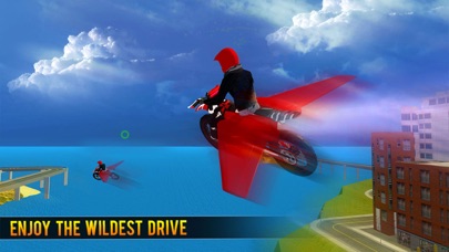 How to cancel & delete Flying Bike Beach Sim from iphone & ipad 3