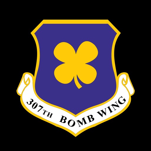 307th Bomb Wing