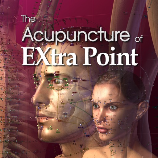 The Acupuncture of Extra Point Icon