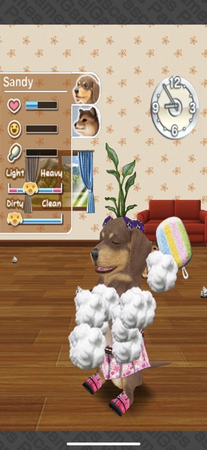 My Dog My Room(圖1)-速報App