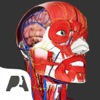 Pocket Anatomy Pro