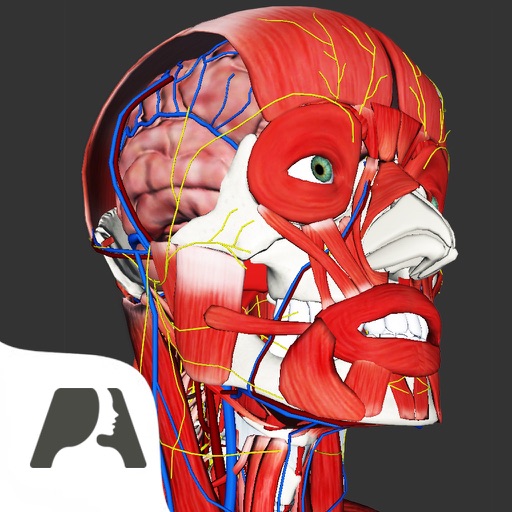 Pocket Anatomy Pro icon