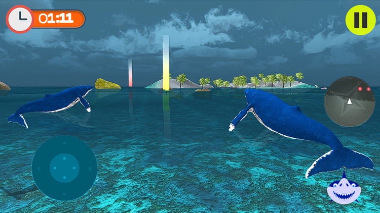 Blue Whale Swim Simulator 3D