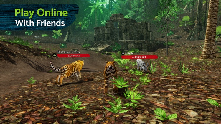 The Tiger Online RPG Simulator