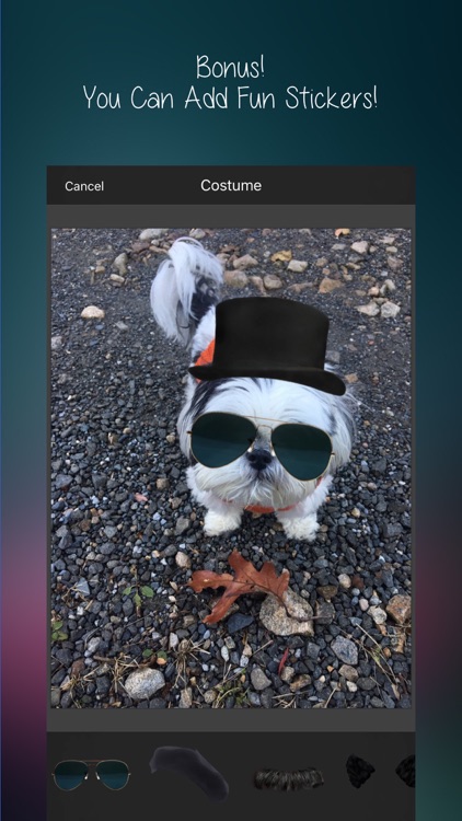 After Awesome : All-In-1 Picture Editor & More