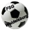 App der FSG Weidelsburg