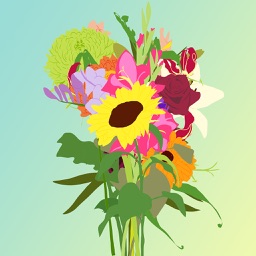 Sticky Flowers: Classic Set