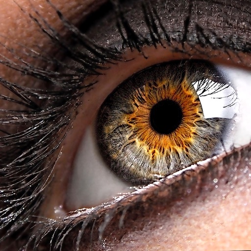 Inject-Magic Download