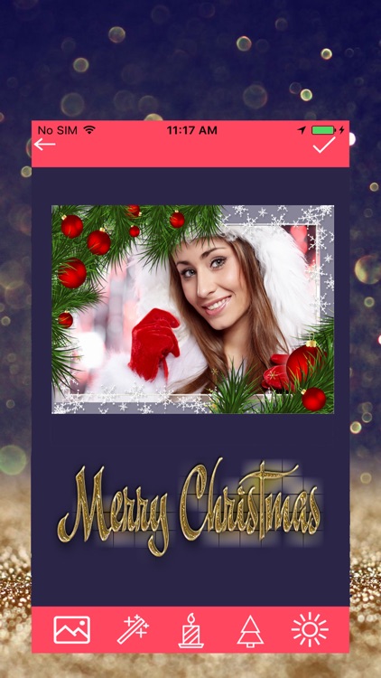 Christmas New Year Greetings