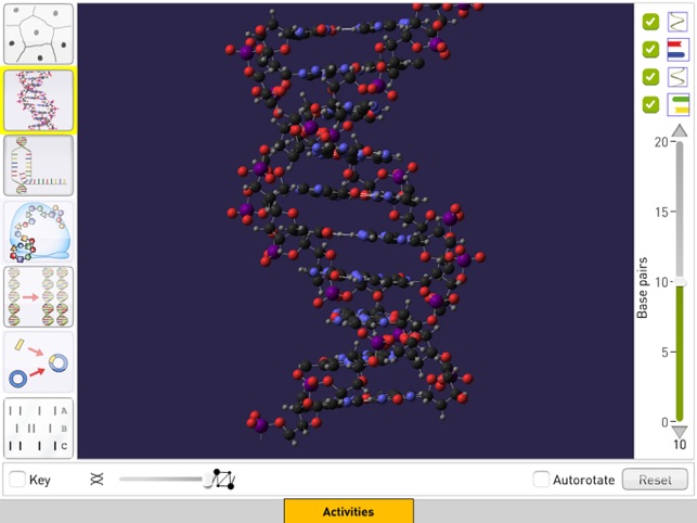 DNA from Sunflower Learning(圖2)-速報App