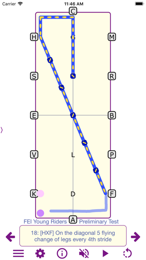 TestPro: FEI Dressage Sampler(圖2)-速報App