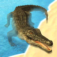 Activities of Amazing Furious Crocodile