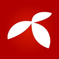 МАЛИБУ Кемерово pour PC