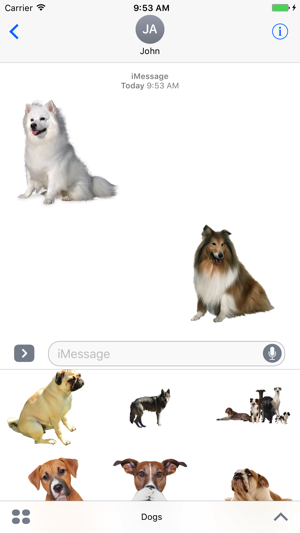 Fun Dogs Stickers