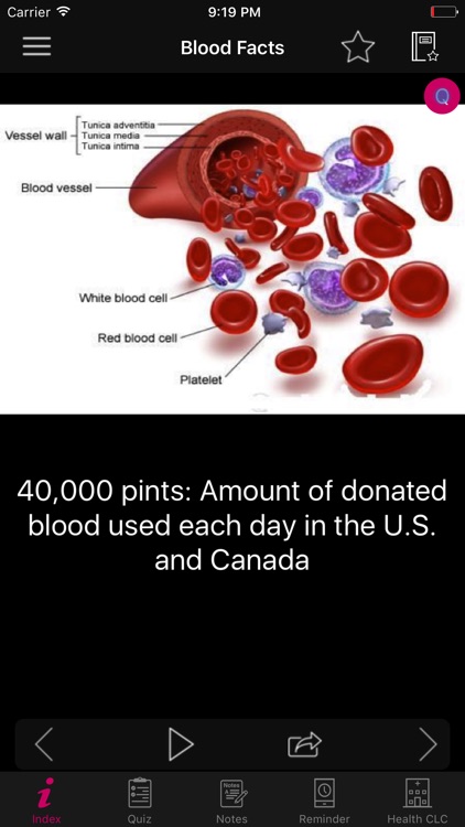 Human Anatomy Blood Facts 2000