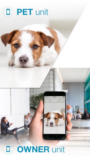 狗兒監視器: Annie 的寵物觀察, 夥伴相機(圖1)-速報App