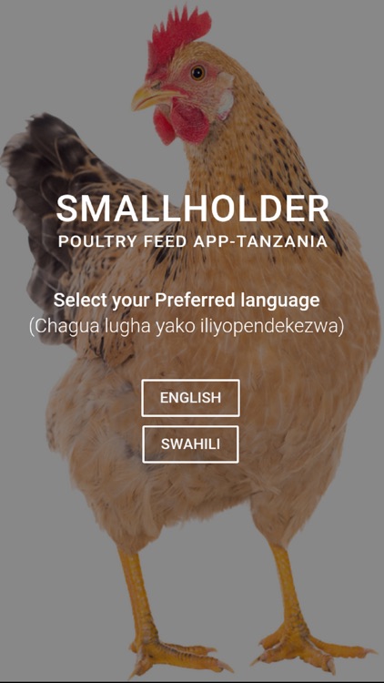 Smallholder Poultry Feed - TZ