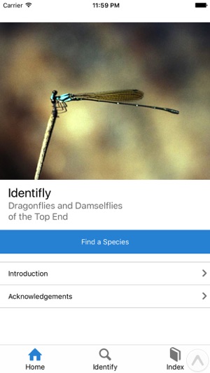 Identifly Dragonfly Guidebook(圖2)-速報App