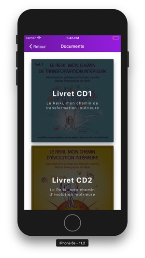 REIKI LIBRE(圖4)-速報App