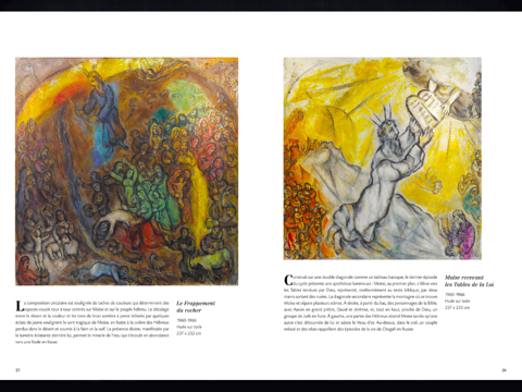 Chagall, le Message Biblique screenshot 4