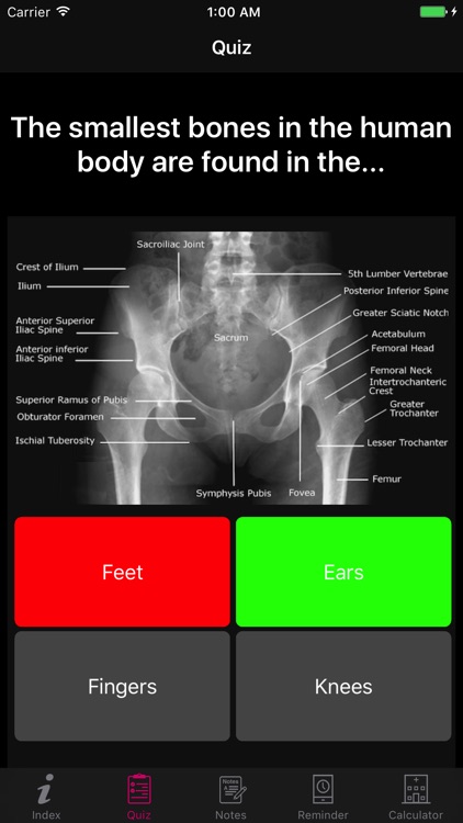 Amazing Human Body Facts, Quiz