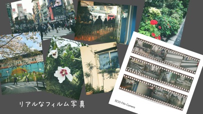 EE35 フィルムカメラ screenshot1
