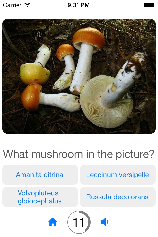 Guess Mushroom screenshot 3