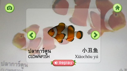 How to cancel & delete Pets AR 3D from iphone & ipad 3