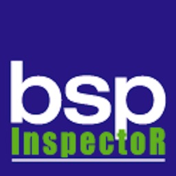 Autoinspeccion BSP