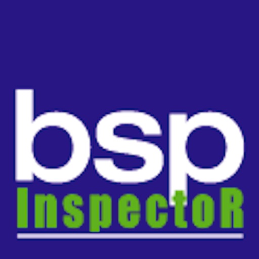 Autoinspeccion BSP