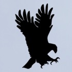 Top 24 Business Apps Like Eagles Nest Inspections - Best Alternatives