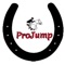 A collection of ideas for Showjumping courses, Flatwork and Showjumping exercises for anyone to use