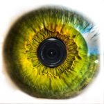 Digital Glasses for Low Vision