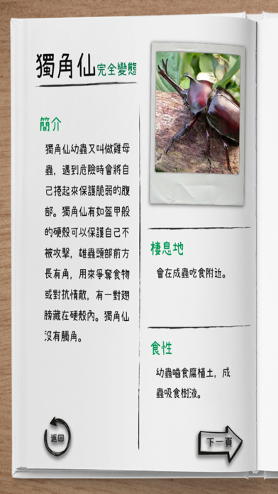 The Insect AR screenshot 2