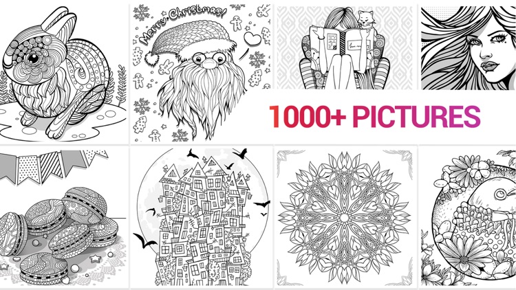 Adult Coloring Book | COLORS