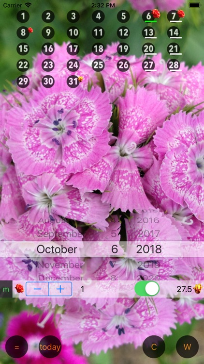 Only For Women - Calendar W screenshot-3