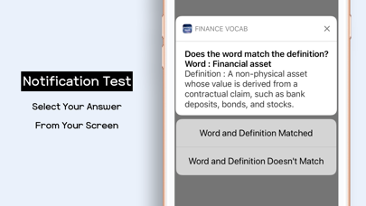 Finance Vocab screenshot 2