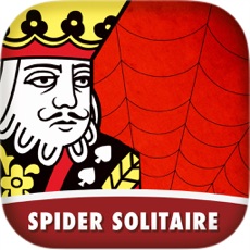 Activities of Spider Solitaire Suits