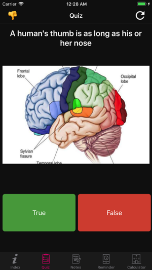 Human Brain Facts & Quiz 2000(圖8)-速報App