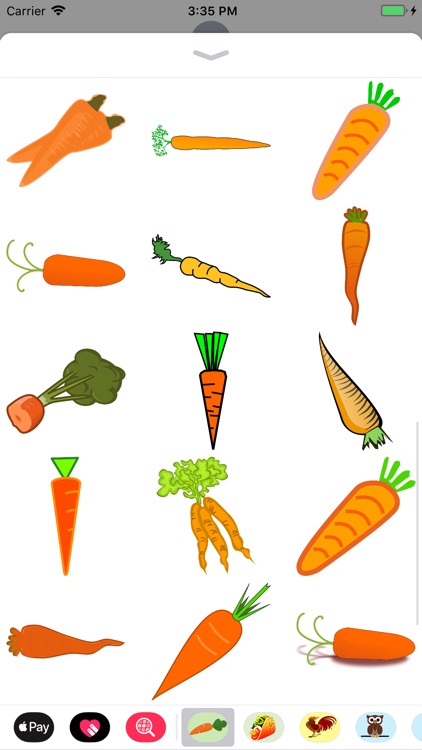 Crunchy Carrot Stickers