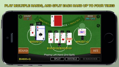 Blackjack 21 Pro Mult... screenshot1
