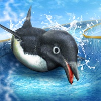 Penguin Waterslide Dash 2018 apk