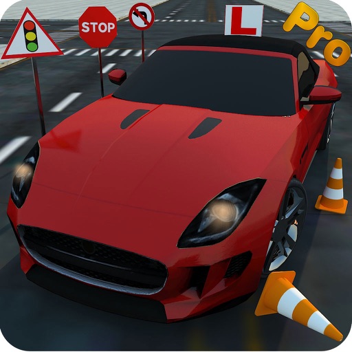 Real 3D Driving School - Pro icon