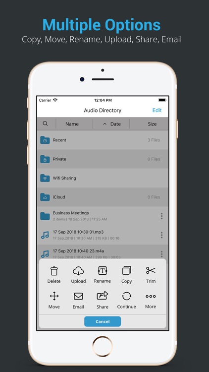 Recorder Pro : Voice Memo