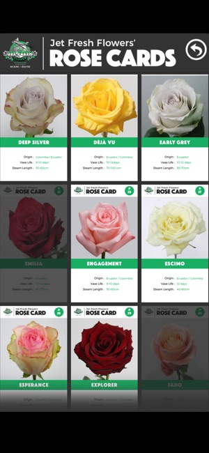 Name That Rose(圖4)-速報App