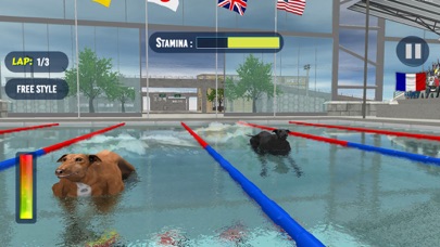 Dog Swimming Race screenshot 4