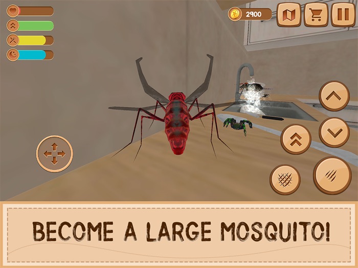 Mosquito Insect House Survival