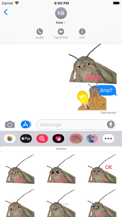 CuteMoth