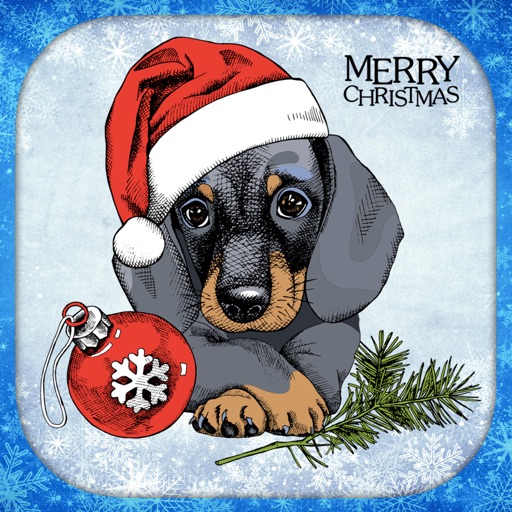 Happy Dog Holiday Cards