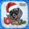 Spreading love this upcoming Christmas & New Years